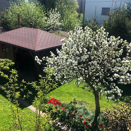 U Henryki Pansiyon *